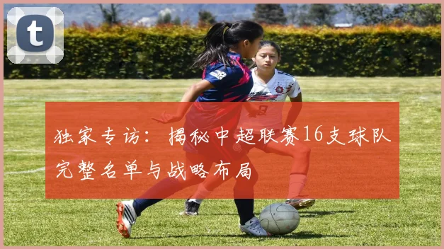 独家专访:揭秘中超联赛16支球队完整名单与战略布局
