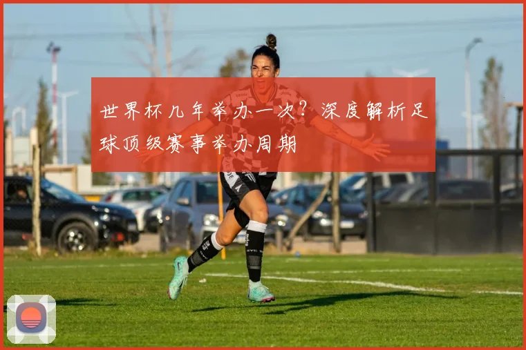 世界杯几年举办一次?深度解析足球顶级赛事举办周期